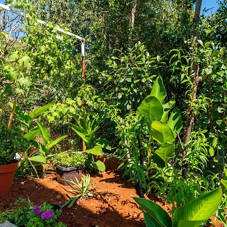 Apartman Mojas Orasac